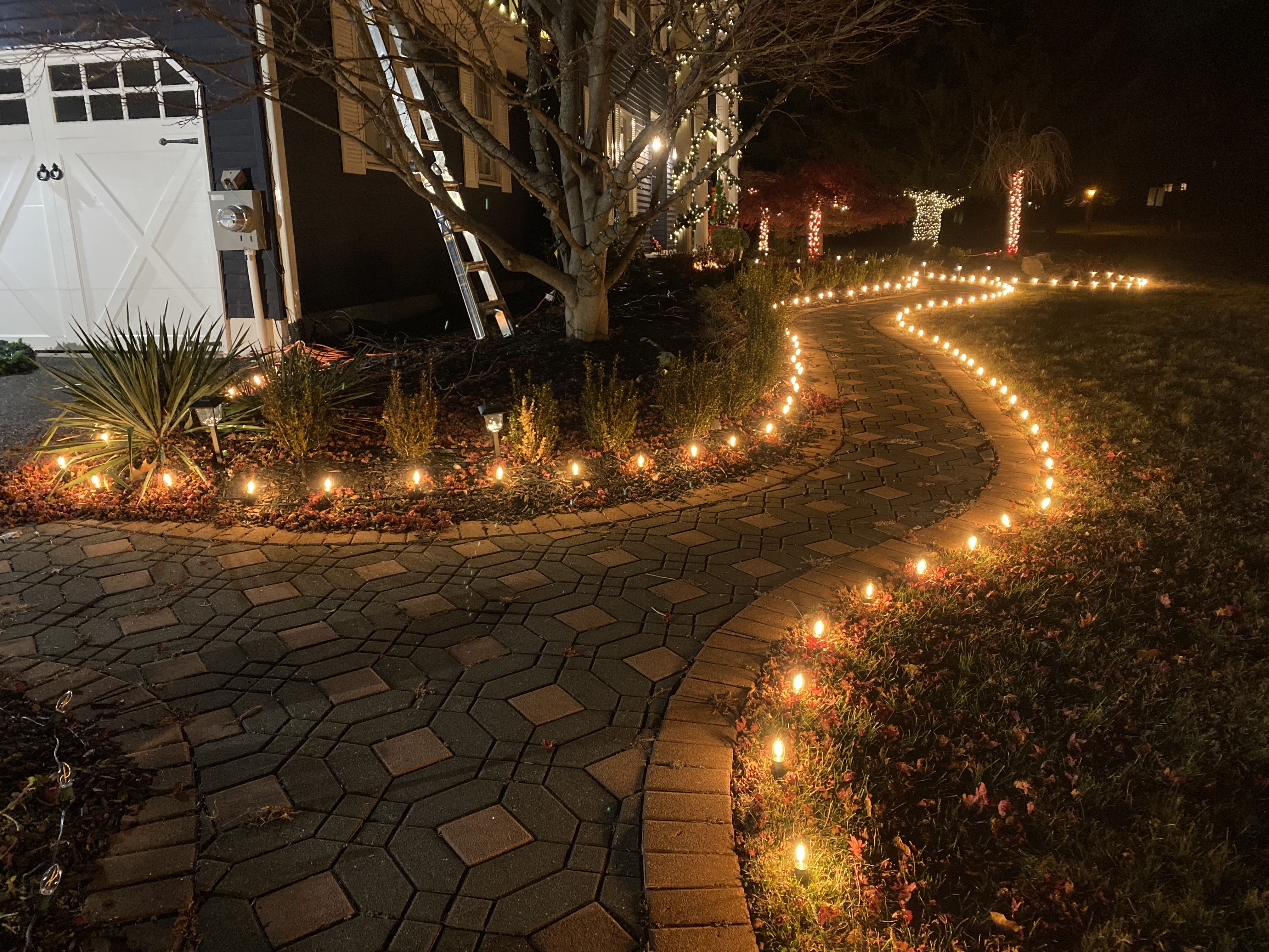 Pathway & Dock Lighting